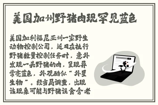 成品网站w灬源码三叶草
