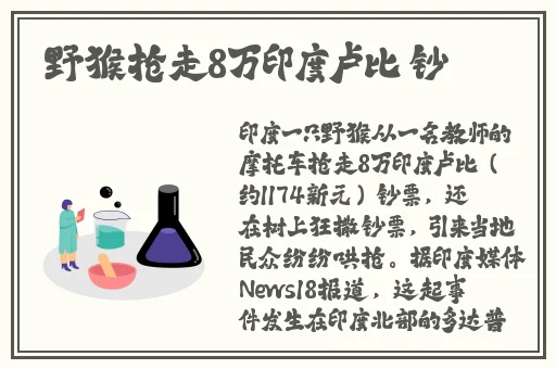 91精品国产自产91精品