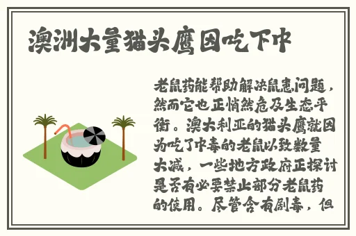 **网